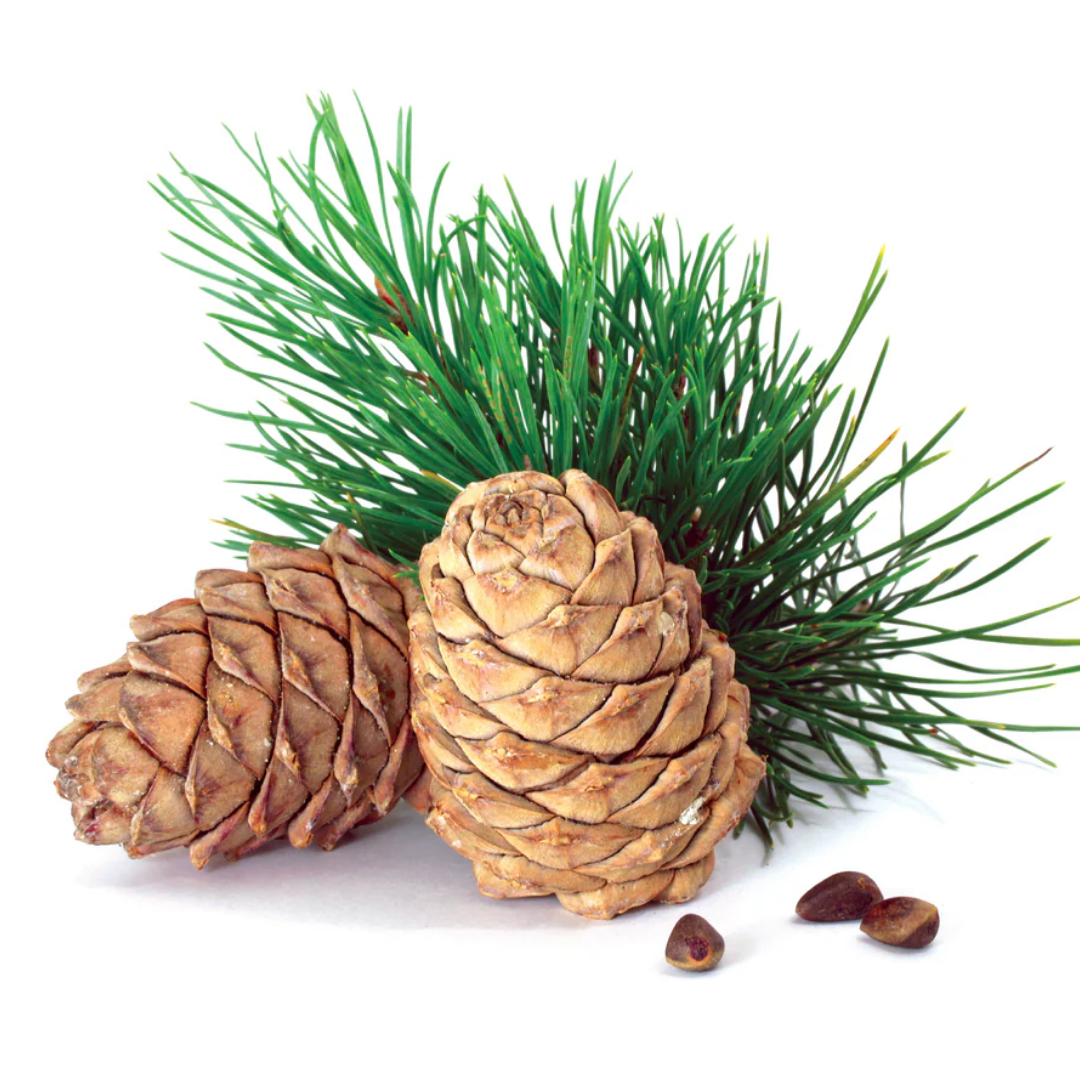 Cedarwood Essential Oil