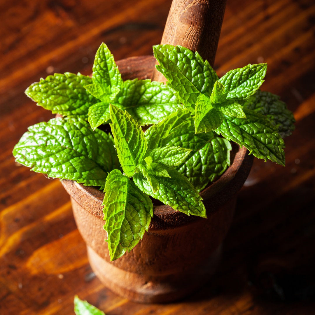 Peppermint Essential Oil